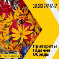 Любовный приворот Киев. Помощь целительницы в Киеве. Обрядовое венчание на всю жизнь