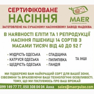 Сертифіковане насіння (посівмат) пшениці