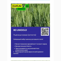 Насіння пшениці - БГ Уніголд (BG Unigold) пшениця м#039; яка озима (Biogranum D.O.O.)