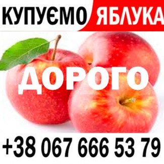 Куплю яблука на переробку, на сік - ціна 9, 3 грн - від 15 т. Готівка та Безгот