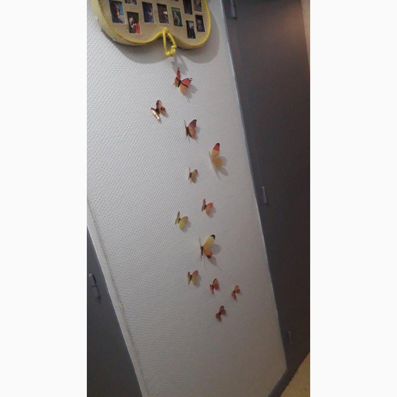Фото 5. Бабочки 3 декор на холодильник, обои, зеркала