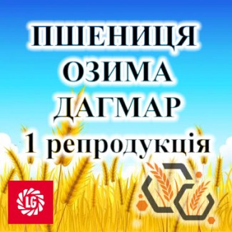 Насіння озимої пшениці ДАГМАР 1 репродукція ЛІМАГРЕЙН