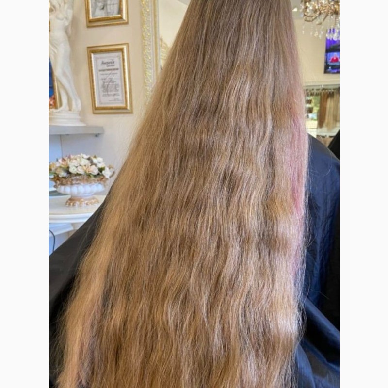 Фото 7. Салон красоты и Цех по производству париков покупает волосы в Запорожье до 125000 грн