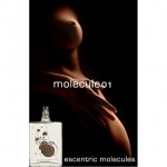 Escentric Molecules Molecule 01 парфюмированная вода 100 ml. Эксцентрик Молекула Молекула