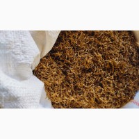 Продам якісний тютюн вірджинія Угорська__власний урожай 2023р