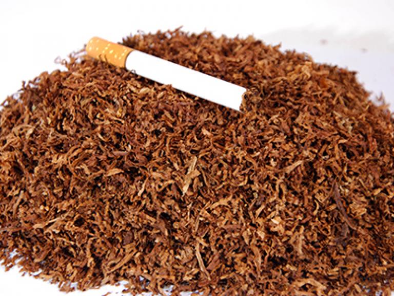 Развесной табак купить 1 кг. Вирджиния Голд табак для самокруток. Табак курительный тонкорезаный. Табак Берли для самокруток. Табак для самокруток 500гр.