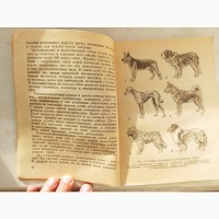 Книга Пам#039; ятники тваринам І.Ф. Заянчковський