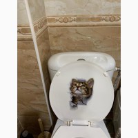 Наклейки котик номер 4 для ванны, кухни