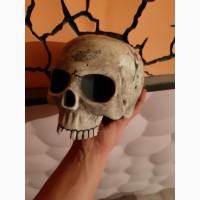 Гіпсовий череп, череп, череп з гіпсу, skull