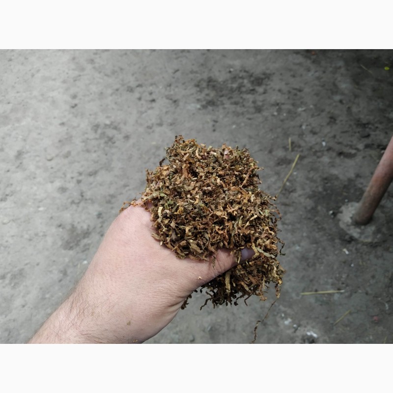 Фото 3. МАХОРКА класна Вірджінія своя тютюн ВІРДЖІНІЯ