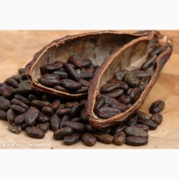 Продам порошок какао велли високої якості