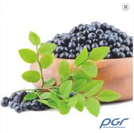 Фото 2. Aronia berry extract профилактика купероза, 10 мл